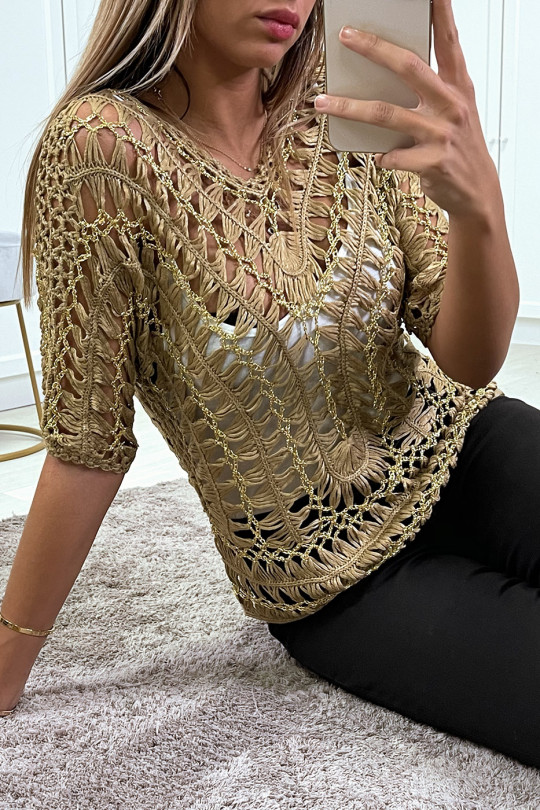 Taupe top in mesh and gilding