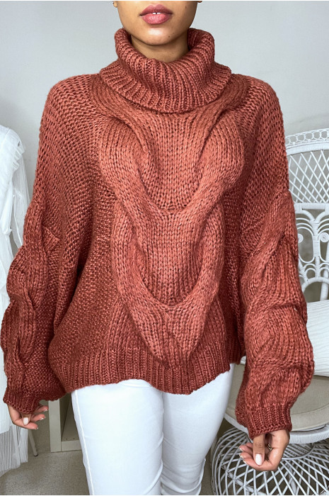 GrBs oudroze trui met vlecht en col - 2