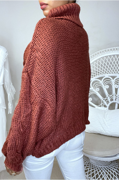 GrBs oudroze trui met vlecht en col - 4