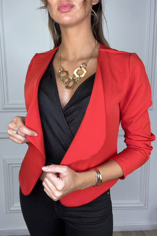 Blazer en canard très chic avec col revers Blazer en canard très chic avec col revers