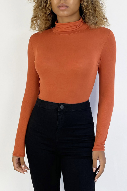 Cognac sweater in turtleneck and long sleeves - 1