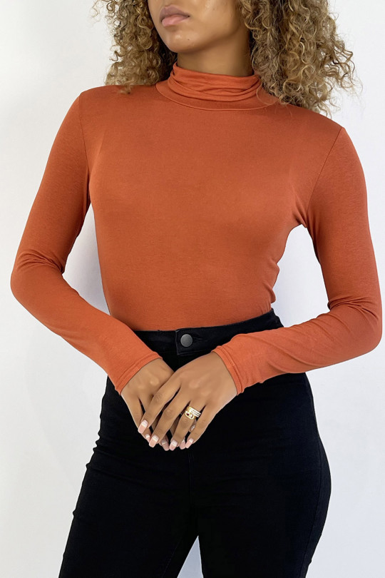 Cognac sweater in turtleneck and long sleeves - 2