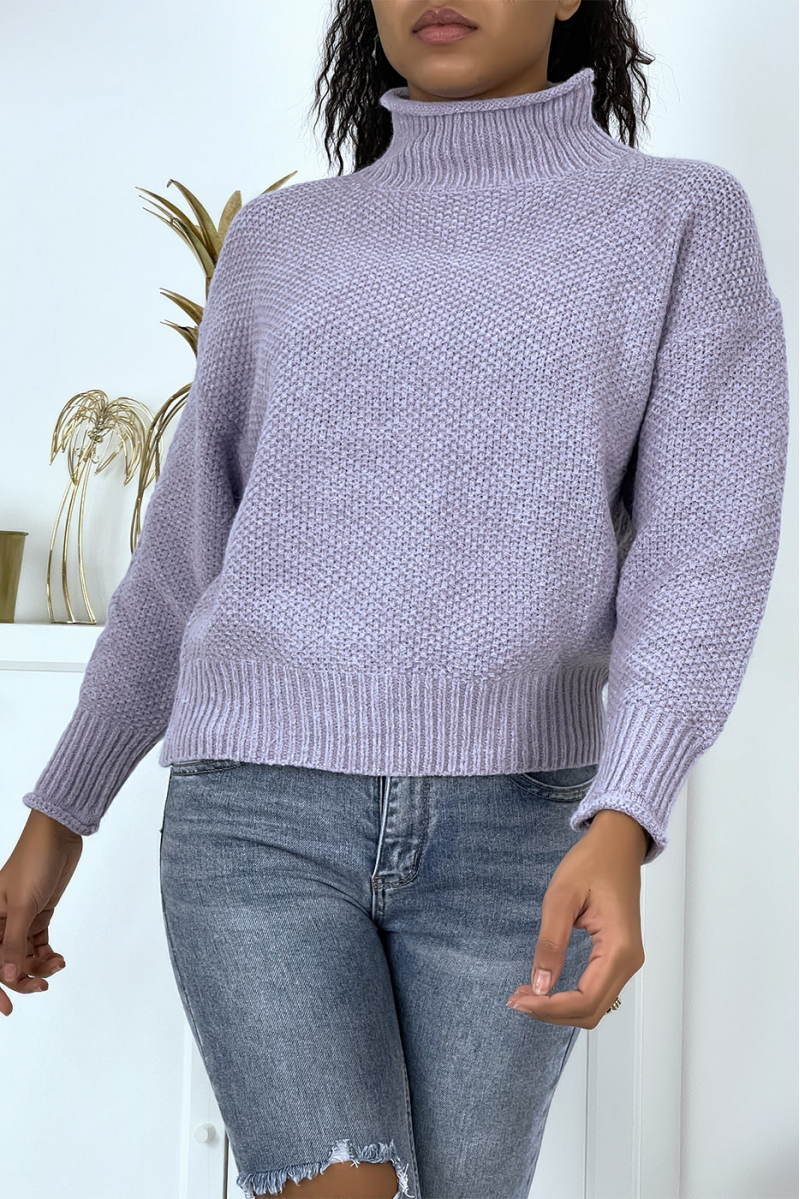 Chunky lilac sweater with stand-up collar - 1