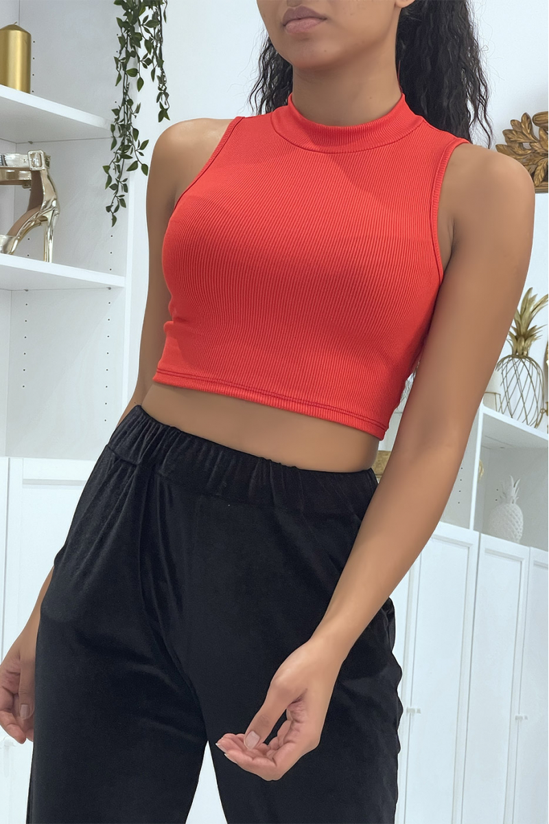 Red High Neck Ribbed Crop Top - 2