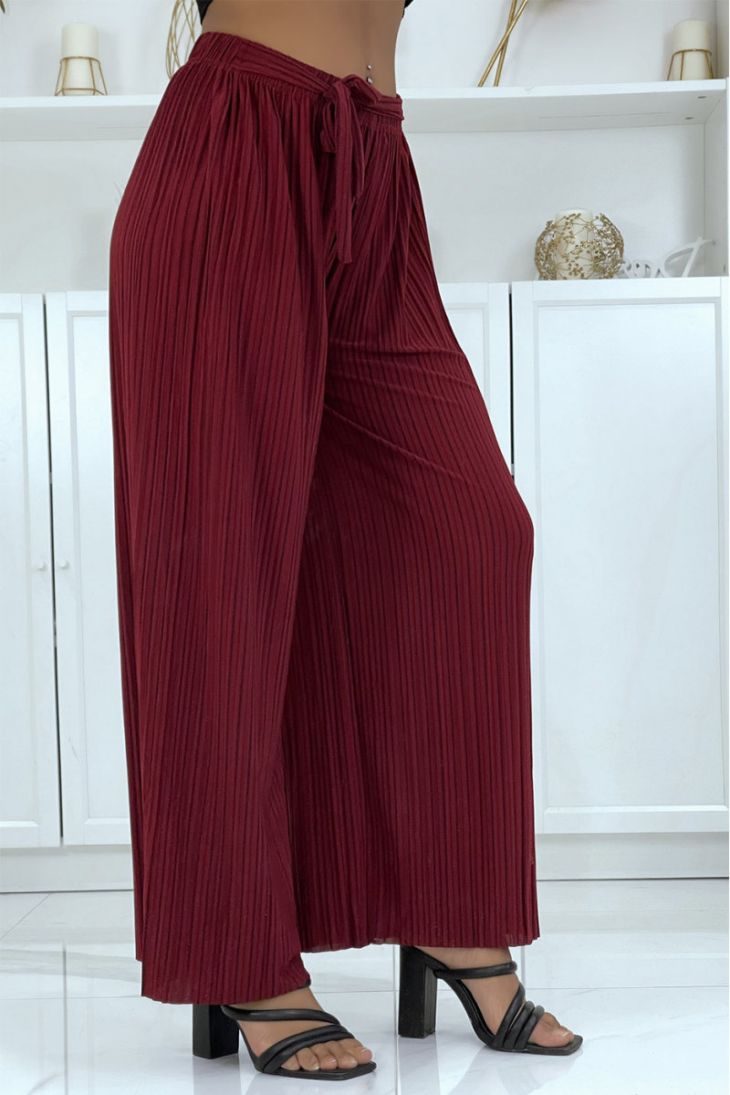 Burgundy pleated palazzo pants with pretty stripe - 2