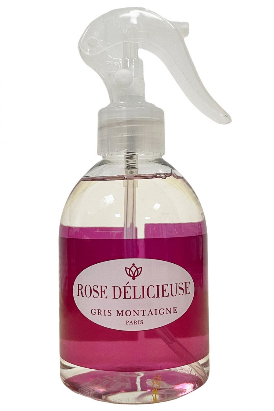 Heerlijke rozenstruik Gris Montaigne Paris - 1