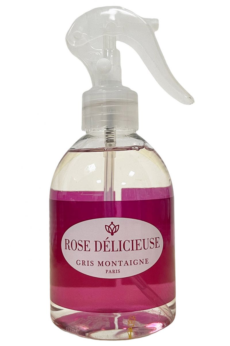 Heerlijke rozenstruik Gris Montaigne Paris - 1