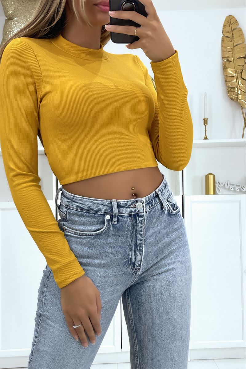 Mustard Ribbed High Neck Long Sleeve Lace Up Halterneck Crop Top - 1