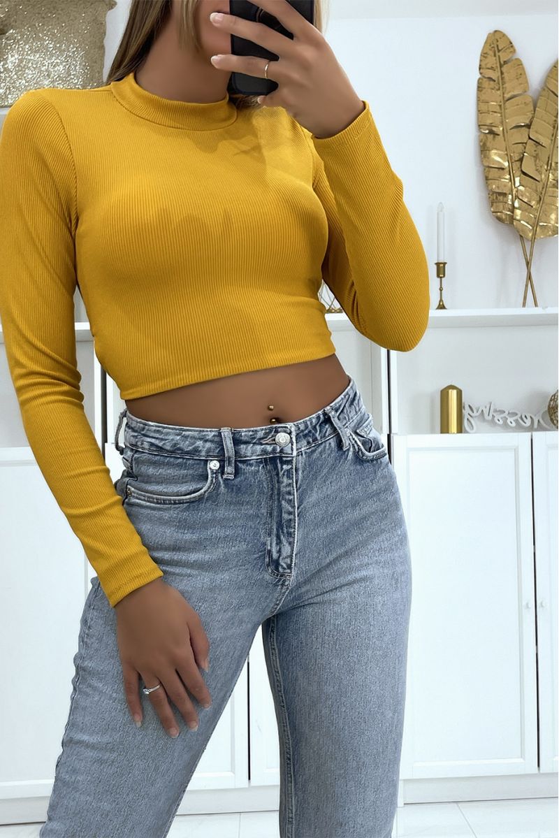 Mustard Ribbed High Neck Long Sleeve Lace Up Halterneck Crop Top - 2