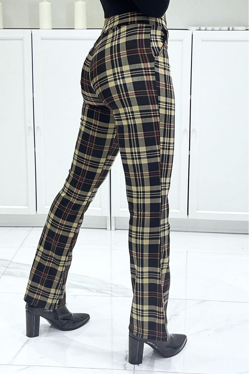 Plum stripe pants with eph leg - 3