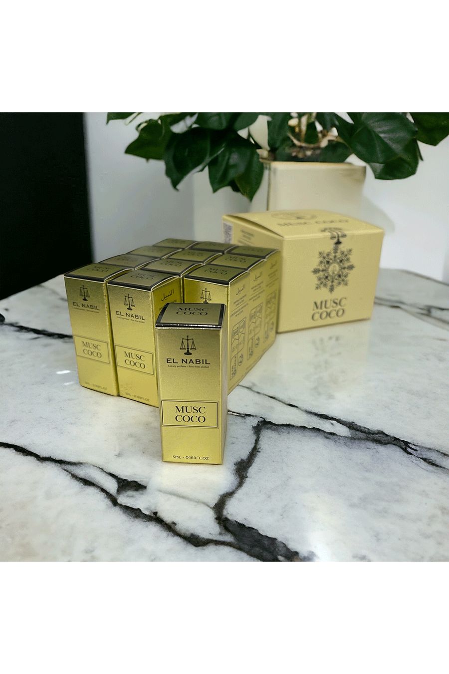 Set of 12 musks EL NABIL Coconut Musk - 1