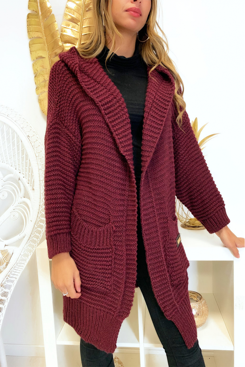 Gros gilet bordeaux en maille bien épaisse avec capuche Gros gilet bordeaux en maille bien épaisse avec capuche