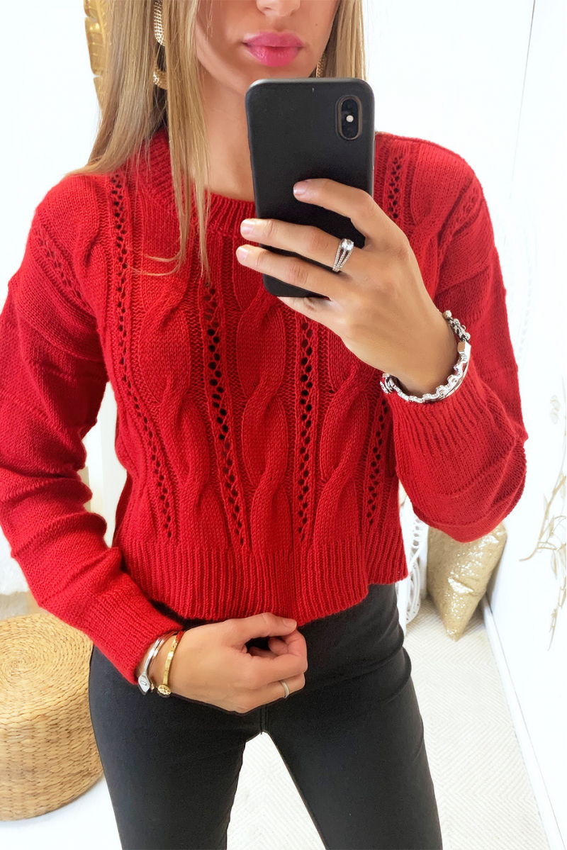 Mooie kleine rode sweater met gedraaid patroon