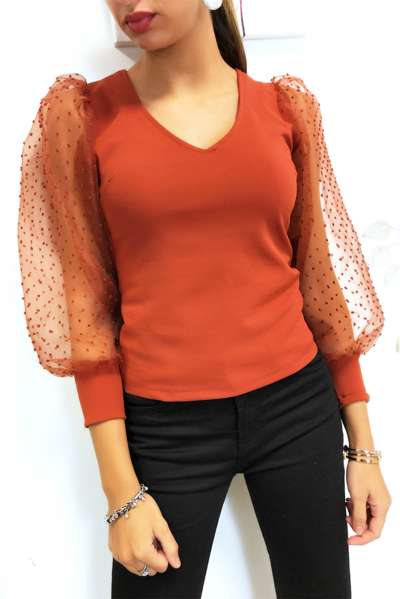 Mooie cognac top met V-hals en gepofte sluiermouwen Mooie cognac top met V-hals en gepofte sluiermouwen