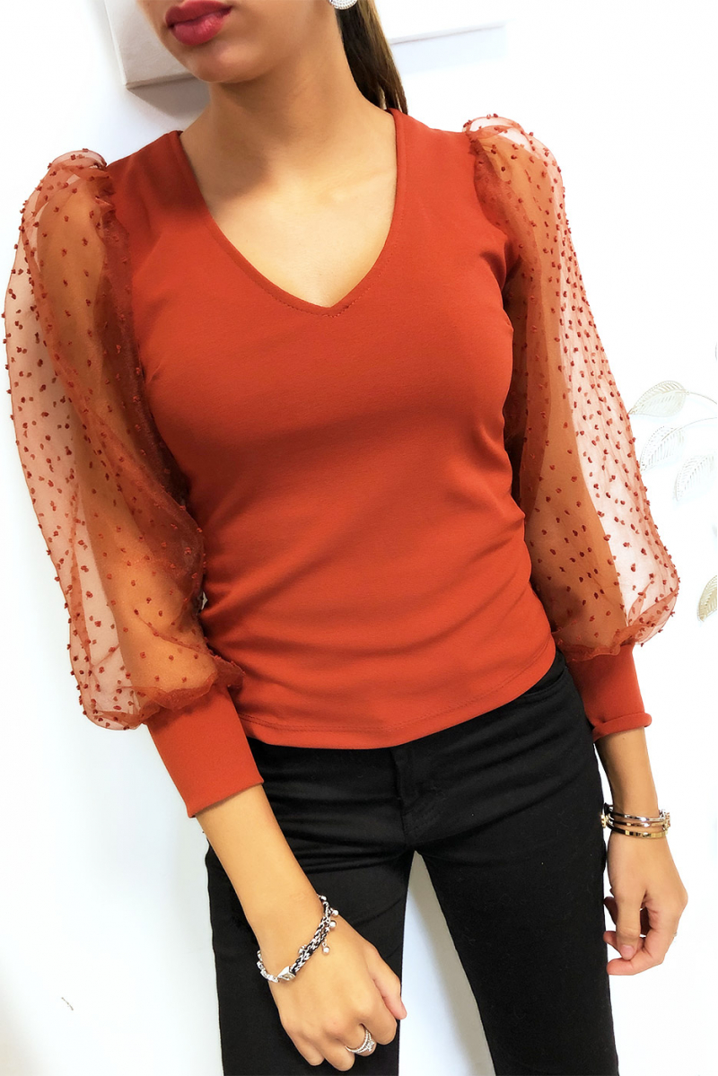 Mooie cognac top met V-hals en gepofte sluiermouwen Mooie cognac top met V-hals en gepofte sluiermouwen