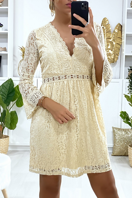 Beige lined lace dress with embroidery on the edges - 1
